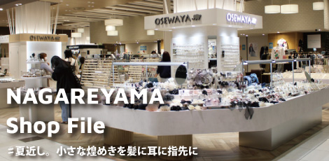 Shop File