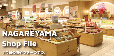 Shop File