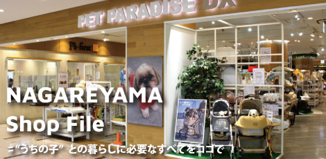 Shop File