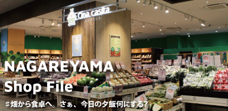 Shop File